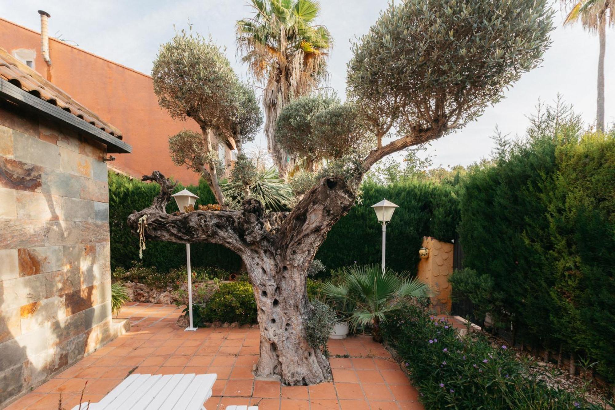 Chalet, Villa Rodeada De Naturaleza Piscina A Doce Klm De Valencia Y 7 Del Aeropuerto المظهر الخارجي الصورة